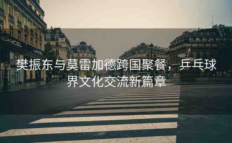 樊振東與莫雷加德跨國聚餐，乒乓球界文化交流新篇章
