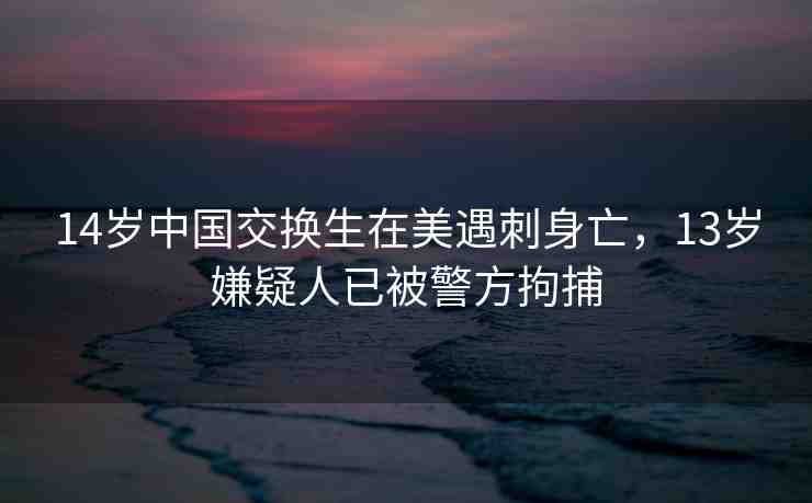 14歲中國交換生在美遇刺身亡，13歲嫌疑人已被警方拘捕