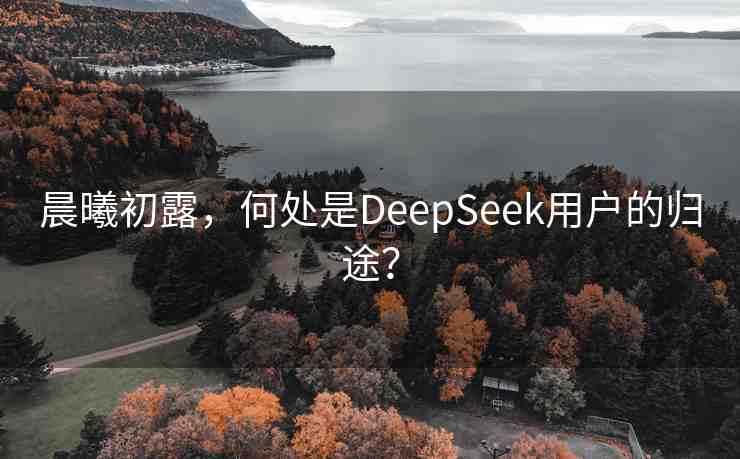 晨曦初露，何處是DeepSeek用戶的歸途？