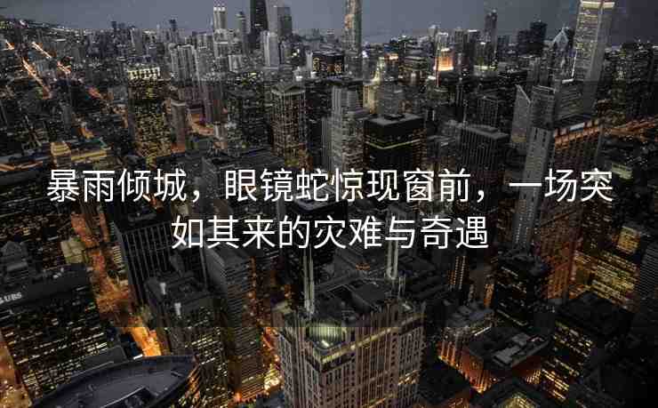 暴雨傾城，眼鏡蛇驚現(xiàn)窗前，一場突如其來的災難與奇遇