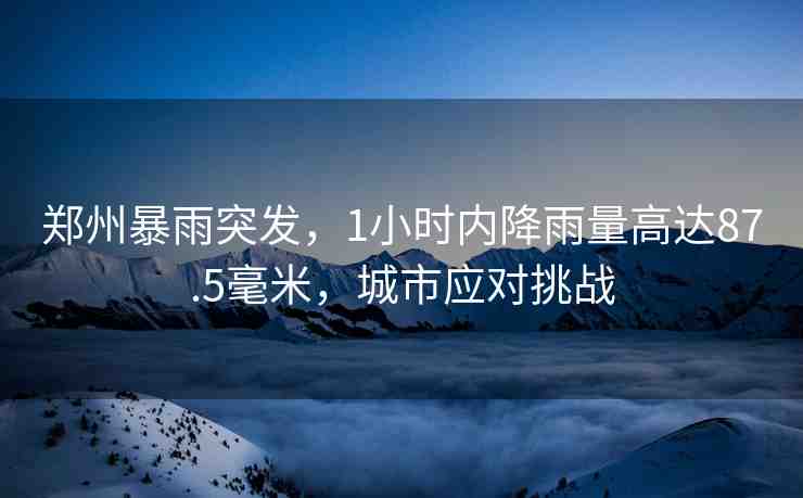 鄭州暴雨突發(fā)，1小時(shí)內(nèi)降雨量高達(dá)87.5毫米，城市應(yīng)對(duì)挑戰(zhàn)