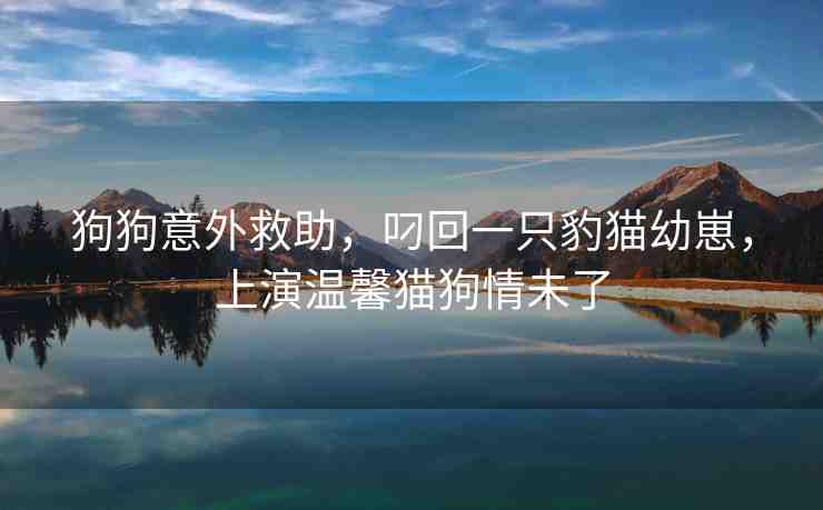狗狗意外救助，叼回一只豹貓幼崽，上演溫馨貓狗情未了