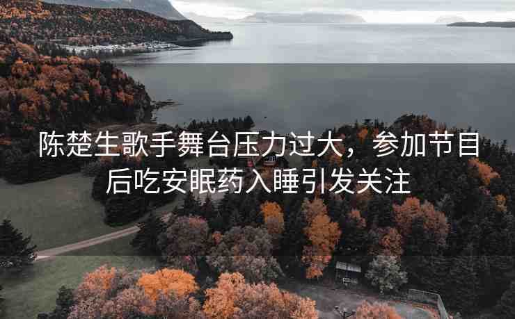 陳楚生歌手舞臺壓力過大，參加節(jié)目后吃安眠藥入睡引發(fā)關注