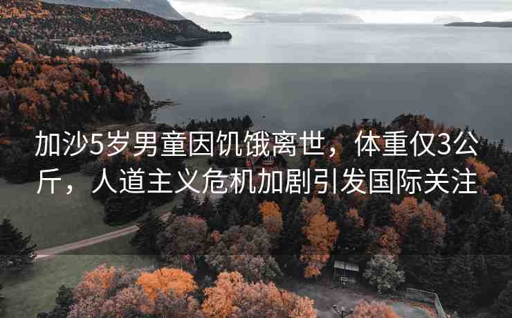 加沙5歲男童因饑餓離世，體重僅3公斤，人道主義危機加劇引發(fā)國際關(guān)注