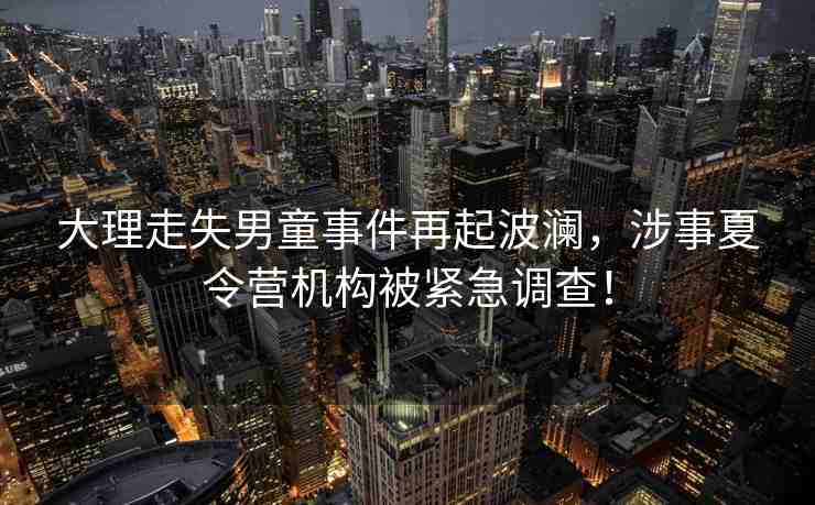 大理走失男童事件再起波瀾，涉事夏令營機構被緊急調查！