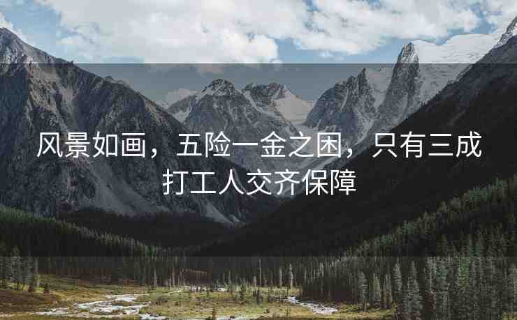 風(fēng)景如畫(huà)，五險(xiǎn)一金之困，只有三成打工人交齊保障