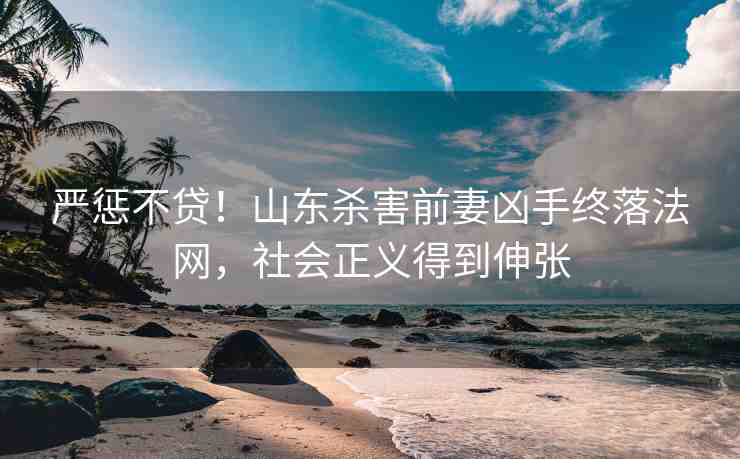嚴(yán)懲不貸！山東殺害前妻兇手終落法網(wǎng)，社會正義得到伸張