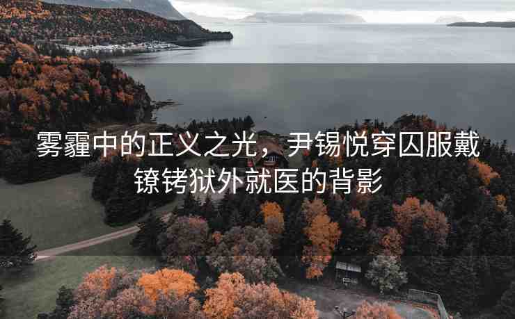霧霾中的正義之光，尹錫悅穿囚服戴鐐銬獄外就醫(yī)的背影
