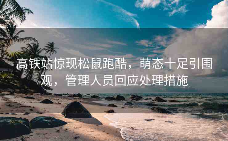 高鐵站驚現(xiàn)松鼠跑酷，萌態(tài)十足引圍觀，管理人員回應(yīng)處理措施