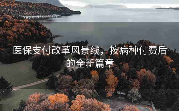 醫(yī)保支付改革風(fēng)景線，按病種付費(fèi)后的全新篇章