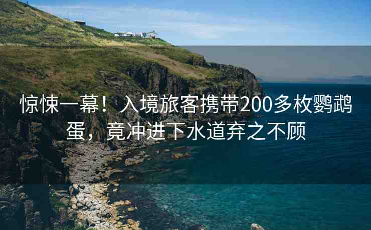 驚悚一幕！入境旅客攜帶200多枚鸚鵡蛋，竟沖進(jìn)下水道棄之不顧
